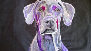 Weimaraner2015-07-21 15.05.17-1